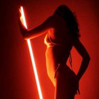 /photo/654359/【舞者】/2 (18)_4_19_small.jpg